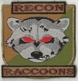 Recon Raccoons